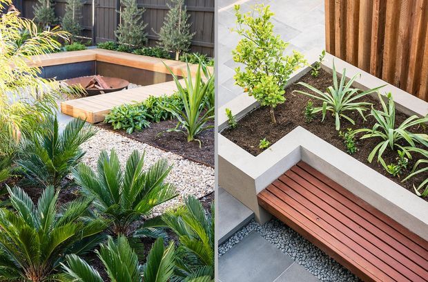 A split-view image of a contemporary landscaped courtyard or garden, featuring raised concrete planter beds with layered greenery, gravel ground cover, timber bench seating, and a compact sunken water feature or pool area enclosed by dark fencing. The planting has a structured, subtropical character with palms, cycads, and spiky accent plants.