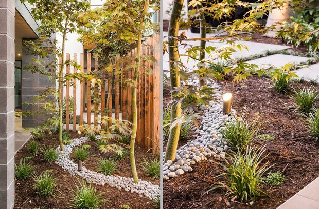 A landscaped courtyard garden beside a contemporary building, featuring slender ornamental trees, layered green grasses and groundcovers, dark mulch, and curved bands of smooth white river pebbles. Timber vertical screening and dark tiled wall surfaces frame the planting, with subtle integrated garden lighting and a paved edge visible.