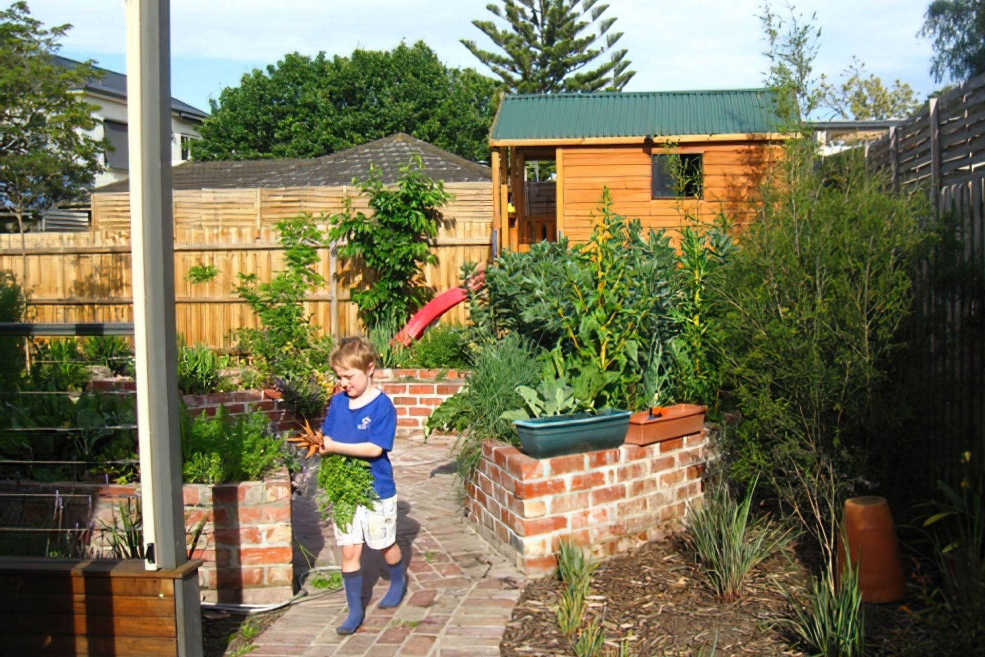 Northcote backyard AFTER garden design - Veggies and play