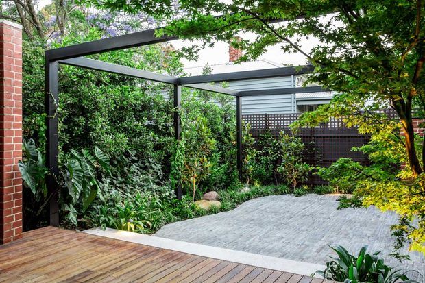 A landscaped courtyard or outdoor garden viewed from a timber deck, with dense planting, a grey paved surface, dark steel pergola framing, and a screened residential facade in the background. The space has a sheltered, leafy and contemporary garden character.