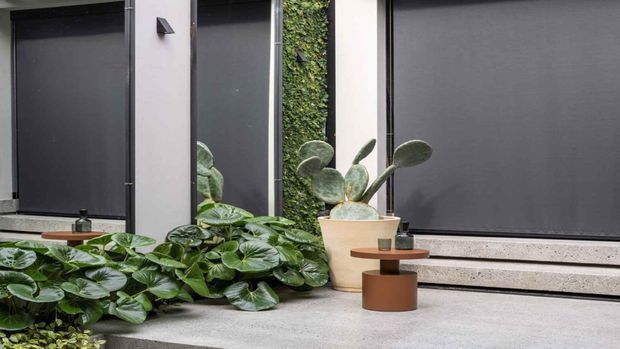 A contemporary courtyard entry with dark vertical window or door panels, pale rendered walls, concrete steps, and lush layered planting. A textured green wall and potted cactus add natural contrast, while a small sculptural side table sits near the steps.