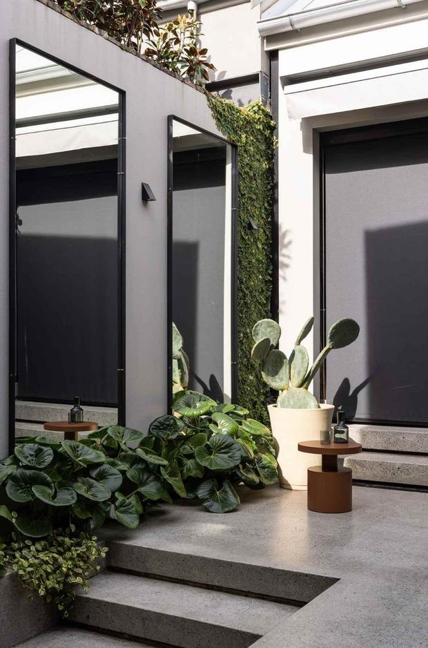 A sunlit contemporary courtyard with charcoal-framed windows and roller blinds, smooth rendered walls, concrete steps and paving, integrated planter beds, and lush foliage including succulents and broad-leaf plants. Small round timber-and-brown side tables with decorative objects sit beside the planting. The space has strong geometric lines, contrasting light and dark surfaces, and a calm indoor-outdoor atmosphere.