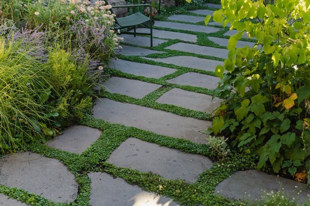 A landscaped garden pathway made from large irregular grey concrete or stone stepping slabs, with low green groundcover growing between the joints. Dense ornamental grasses, flowering plants, shrubs, and a small garden bench frame the path, creating a naturalistic outdoor setting.