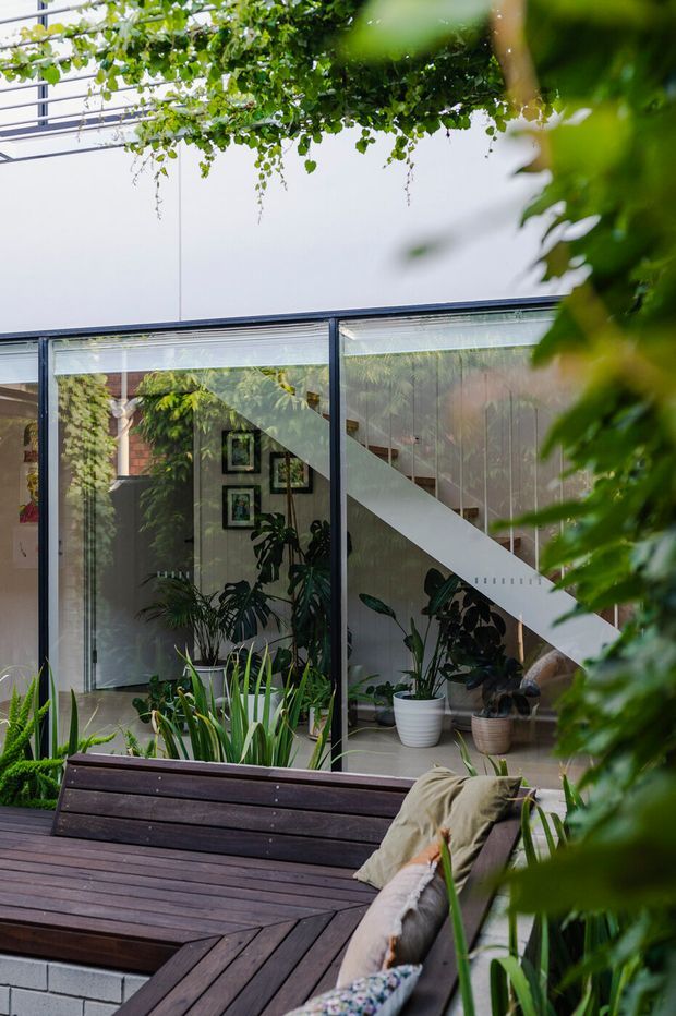 Lush courtyard garden viewed from a dark timber deck, with built-in bench seating and cushions in the foreground. Full-height glazed walls reveal a light-filled interior with indoor plants, framed artwork, and a prominent white staircase. Dense greenery and climbing plants soften the contemporary glass-and-rendered facade.