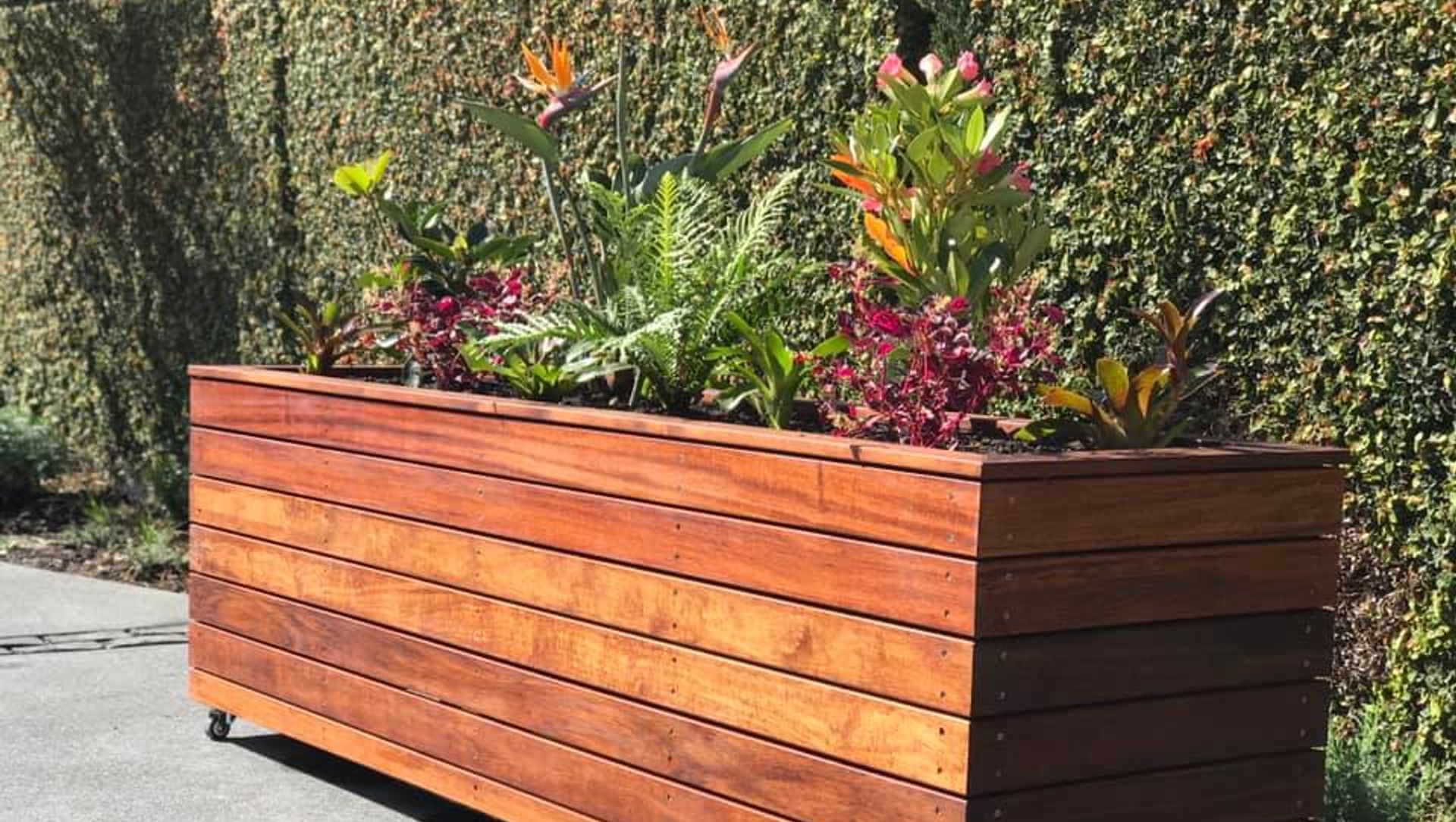 Planter Boxes banner