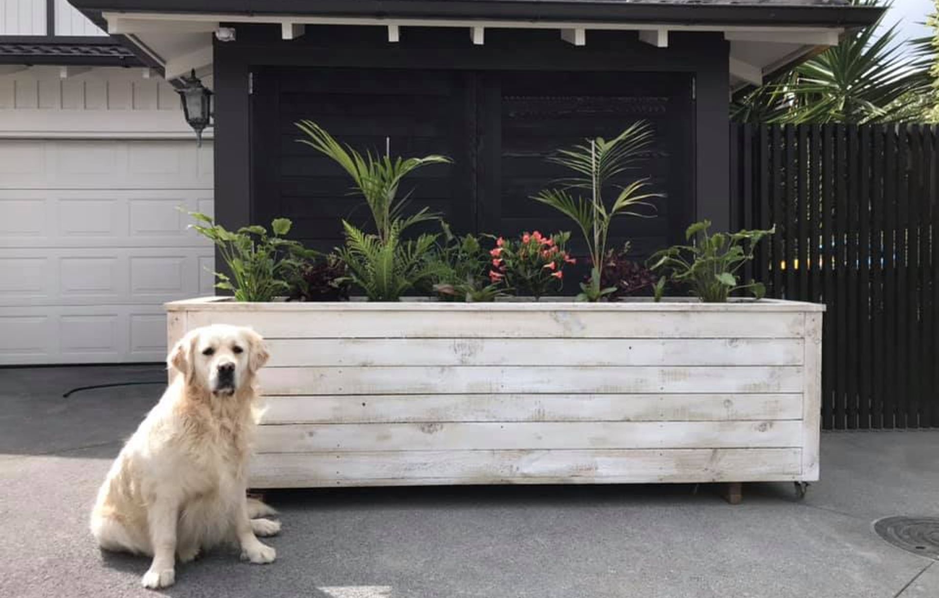 Planter Boxes