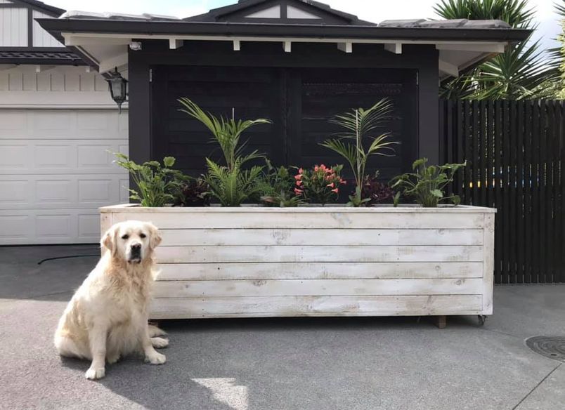 Planter Boxes