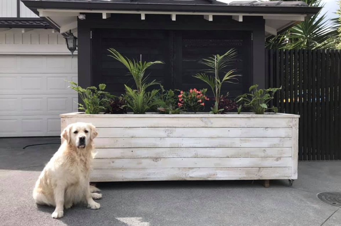 Planter Boxes