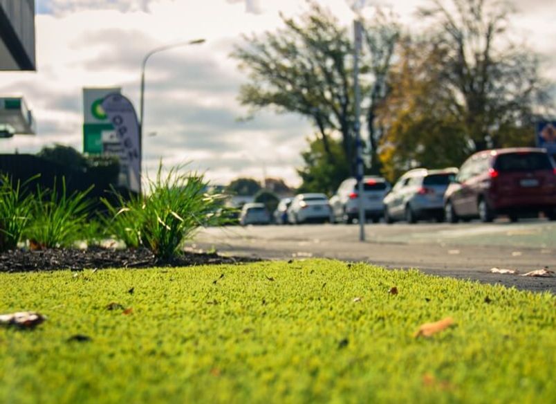 The Big Grin Orthodontists