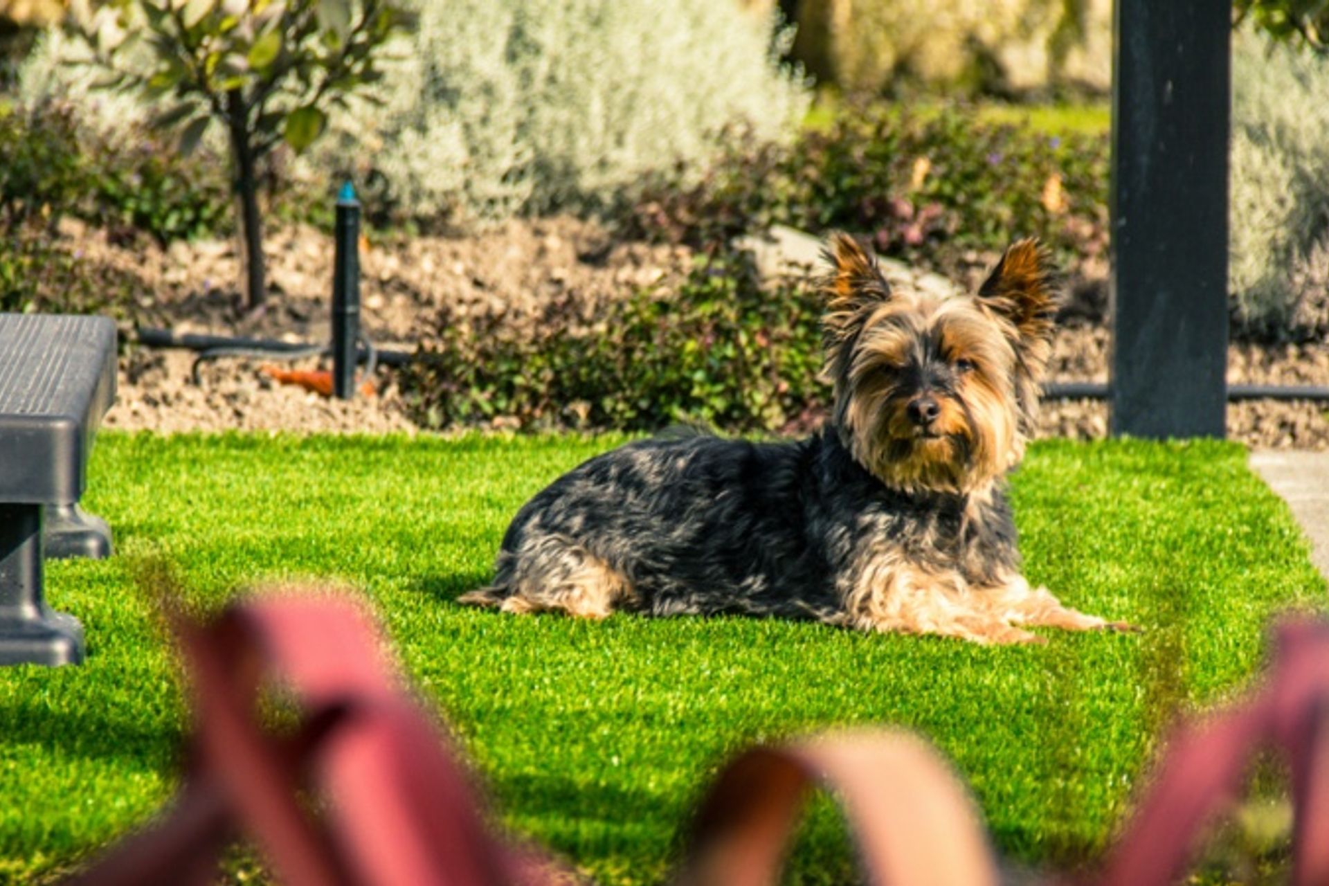 Spa Surround Artificial Lawn