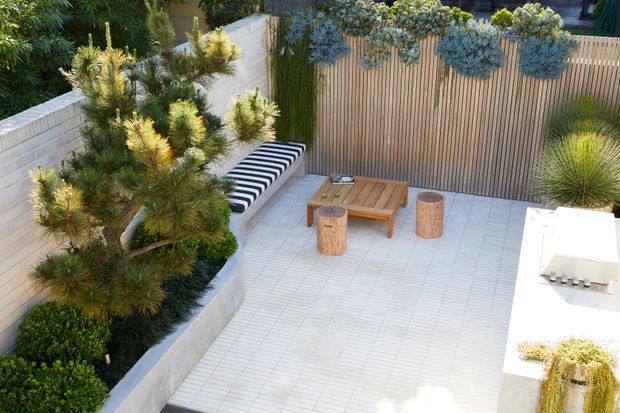 A landscaped outdoor courtyard or terrace with pale tiled paving, raised concrete planters, a vertical timber privacy fence, sculptural evergreen and succulent planting, a striped built-in bench, and a timber outdoor coffee table with cylindrical stools. A white outdoor kitchen or bench element is visible at the right edge.