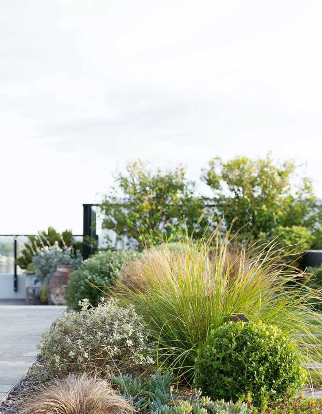 Rozelle - Rooftop Garden