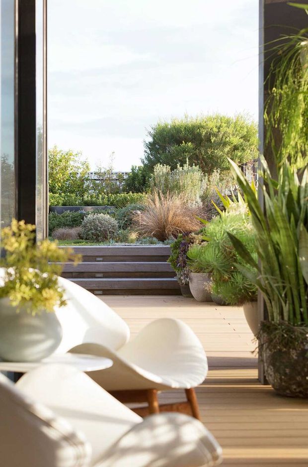 A bright, biophilic indoor-outdoor living area opens through full-height glazing onto a landscaped timber deck and raised garden. White sculptural lounge chairs sit in the foreground among abundant potted plants, while timber steps lead to layered ornamental grasses and shrubs. The scene feels calm, airy and natural.