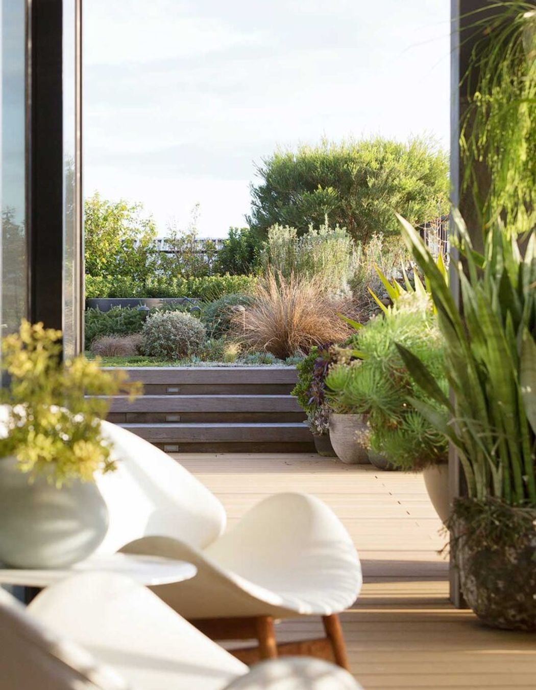 Rozelle - Rooftop Garden