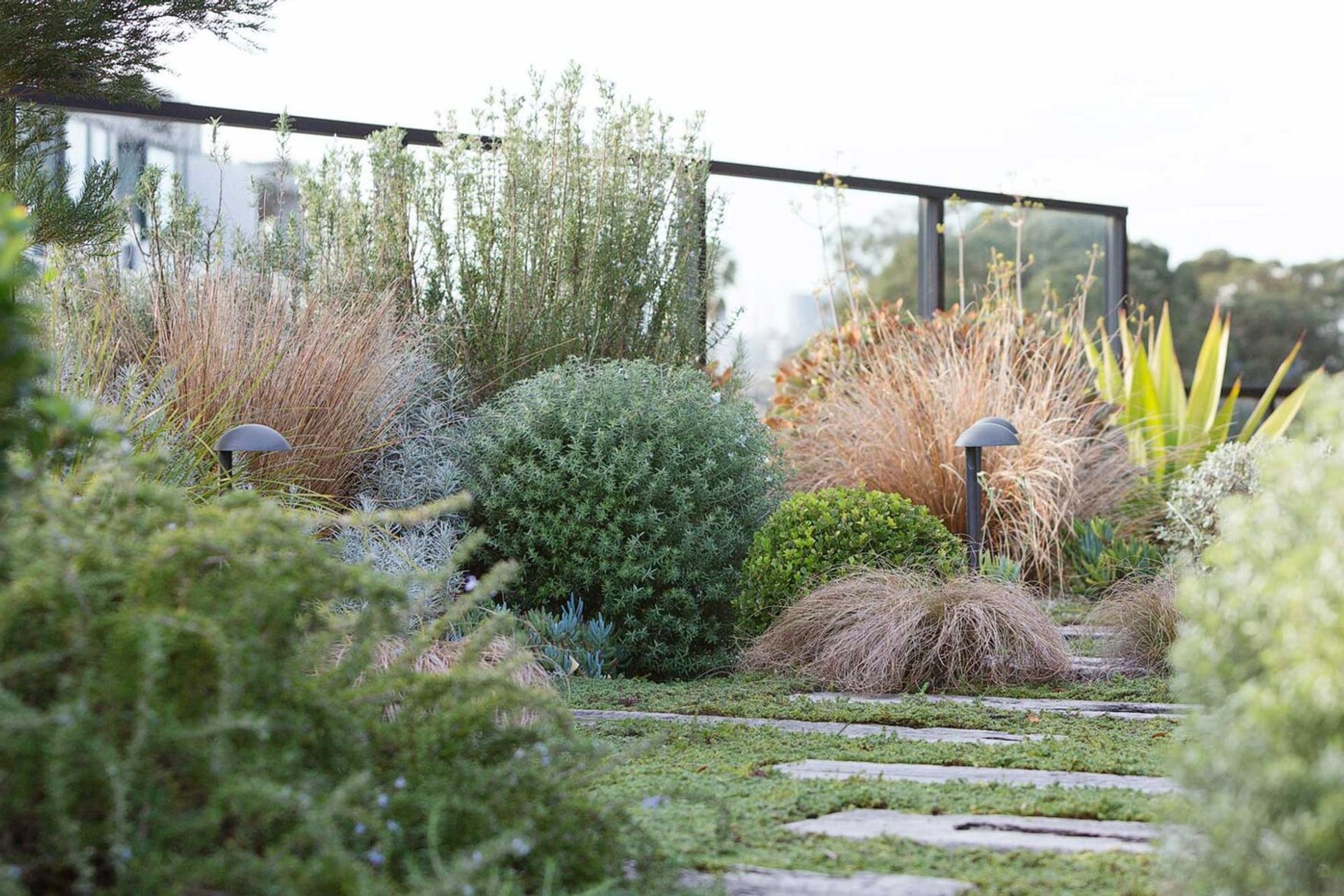 Rozelle - Rooftop Garden
