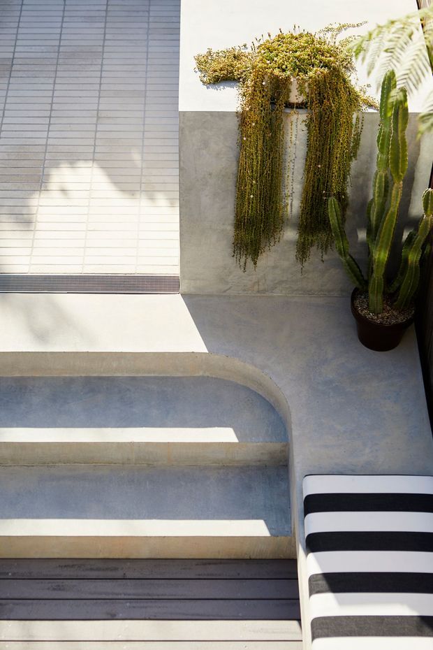 Sunlit modern courtyard or poolside area with a curved, built-in concrete stair or seating edge, pale grey concrete finishes, a tiled wall, cascading hanging plant, potted columnar cactus, and a partially visible black-and-white striped lounge chair. The space has a minimalist, sculptural outdoor character with strong geometric lines and shadows.