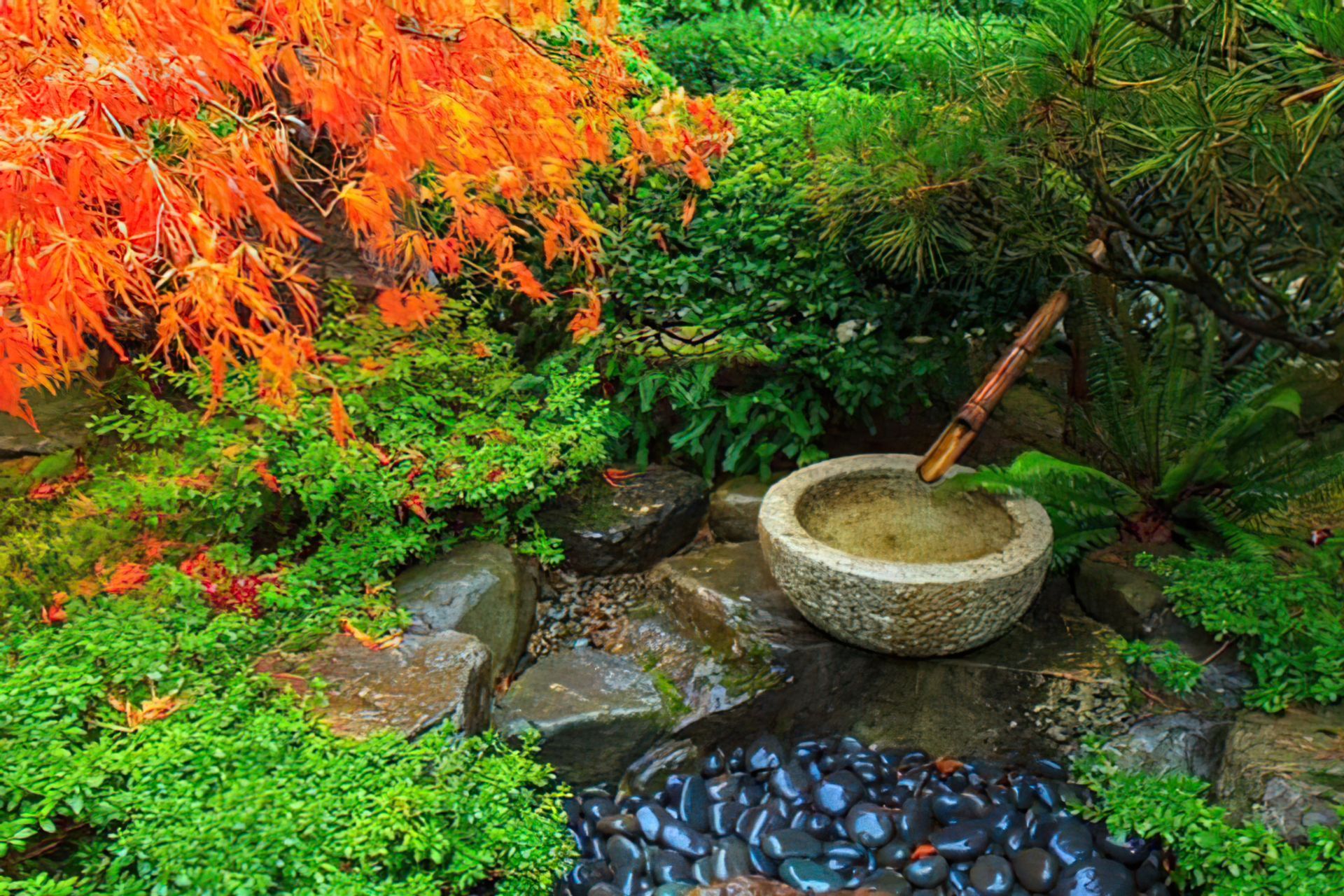##Japanese Gardens