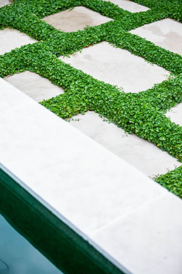Close-up view of a landscaped architectural surface featuring pale concrete or stone paving arranged in large geometric sections, with dense low green groundcover planted in the joints. A dark green-edged water feature or pool is visible along the lower edge.