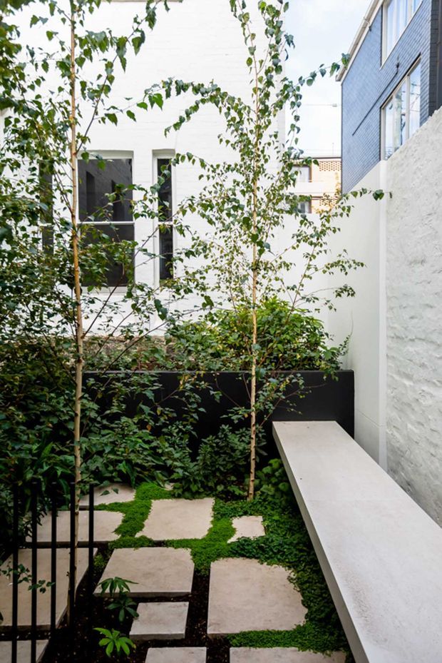 A narrow, enclosed urban courtyard garden viewed from above, with slender leafy trees, dense planting, dark raised garden beds, irregular pale concrete stepping slabs, and a long minimalist light-coloured bench or ledge along a textured white wall. White and dark contemporary building walls and windows frame the space.