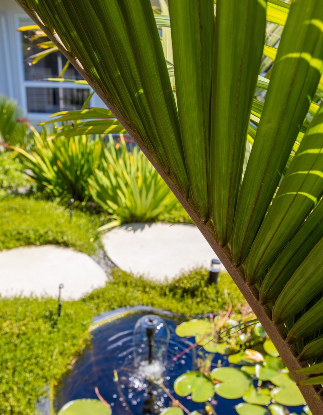 Contemporary Entrance, Hillcrest