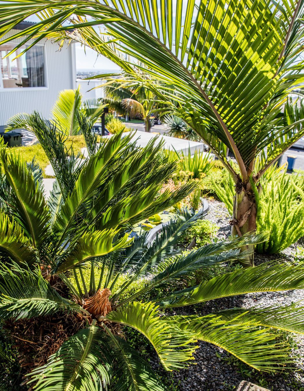 Contemporary Entrance, Hillcrest