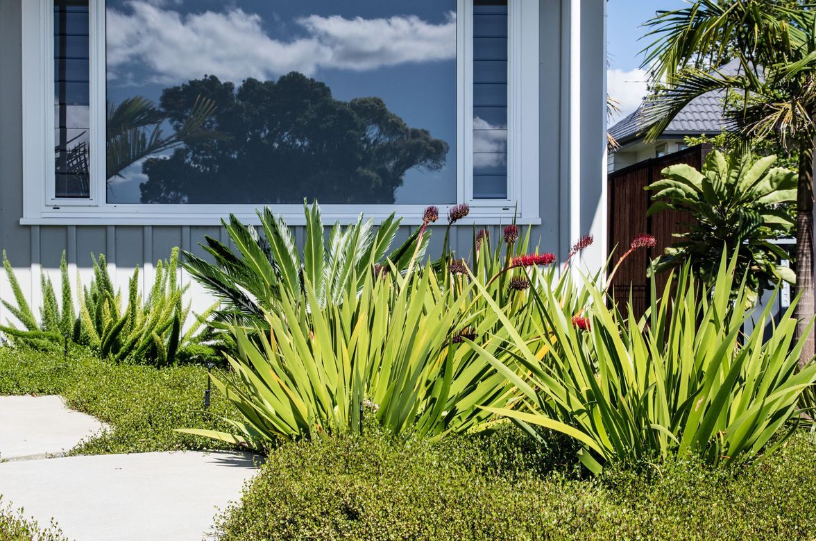 Contemporary Entrance, Hillcrest