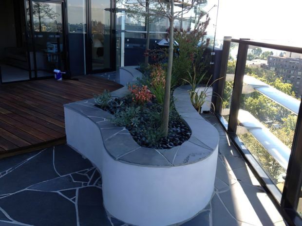 A landscaped rooftop or elevated terrace with a curved white rendered planter surrounding a small tree and succulents. The planter has an irregular grey stone-paved rim, while the terrace floor combines dark slate-like paving with warm timber decking. Black-framed glass doors and a transparent balustrade overlook a leafy urban setting.