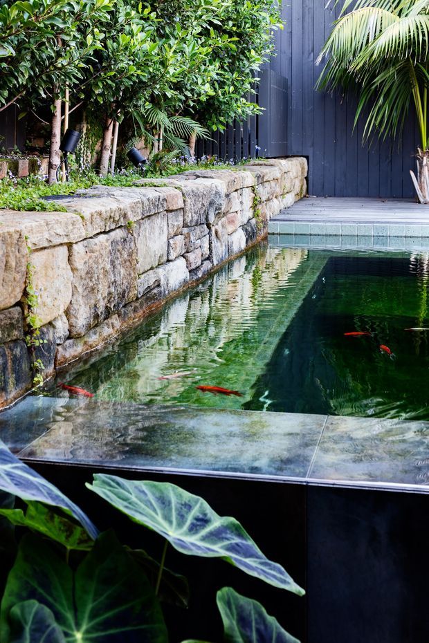A lush landscaped courtyard with a narrow swimming pool bordered by a rugged stacked-stone retaining wall and dense tropical planting. Dark vertical timber cladding forms the backdrop, with a timber deck and pool coping in the foreground. The clear water contains ornamental fish, creating a tranquil, resort-like outdoor setting.