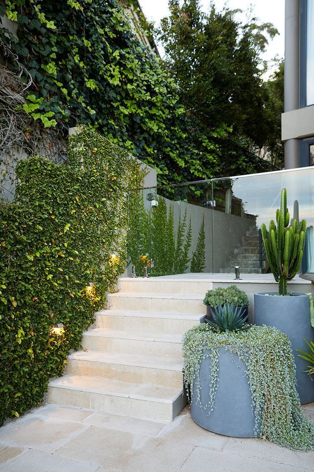 A landscaped exterior stairway leading up through a lush, ivy-covered garden. Pale stone or concrete steps and paving are bordered by dense greenery, with glass balustrades, rendered walls, integrated low lighting, and large grey planters containing cacti and succulents. Part of a contemporary building is visible at right.