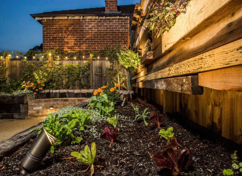 Cooks Hill | Inner City Warmth