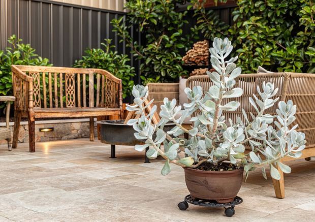 A landscaped outdoor patio or courtyard with large pale stone-look tiled paving, a dark vertical metal privacy fence, dense greenery, woven timber and rattan seating, a low dark fire bowl or planter, and a large potted silver-leaf plant in the foreground. The setting has a warm, natural and relaxed atmosphere.