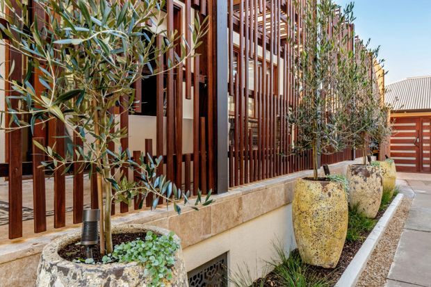 Exterior architectural view of a contemporary entry or frontage, featuring a warm timber slatted screen facade, stone-clad low wall, large weathered stone planters with olive trees, and a paved walkway leading toward a timber garage or entry door. The design combines vertical privacy screening with landscaped planting and natural materials.