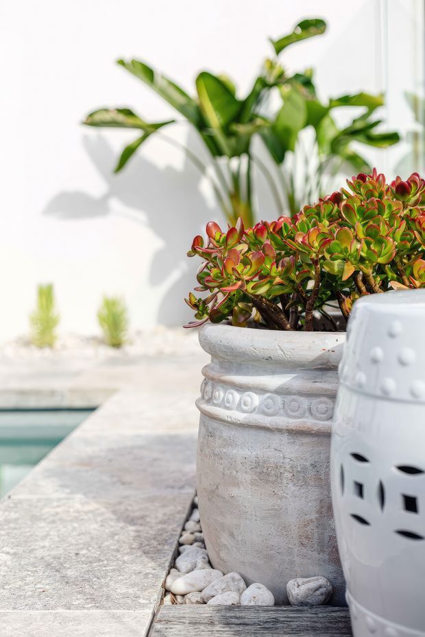 Bright outdoor patio or poolside vignette featuring a large weathered decorative planter with succulent plants, white decorative ceramic seating or lantern-like furniture in the foreground, smooth concrete paving, pebble edging, and tropical foliage against a white wall. A narrow strip of pool water is visible at left.