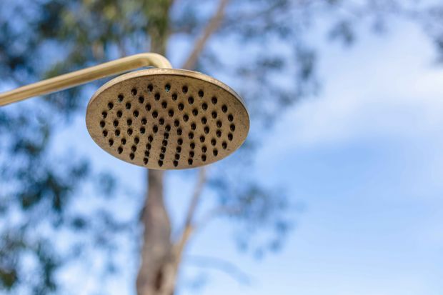 Close-up of a round brushed-gold outdoor showerhead mounted on a curved metal arm, photographed against a softly blurred blue sky and trees.