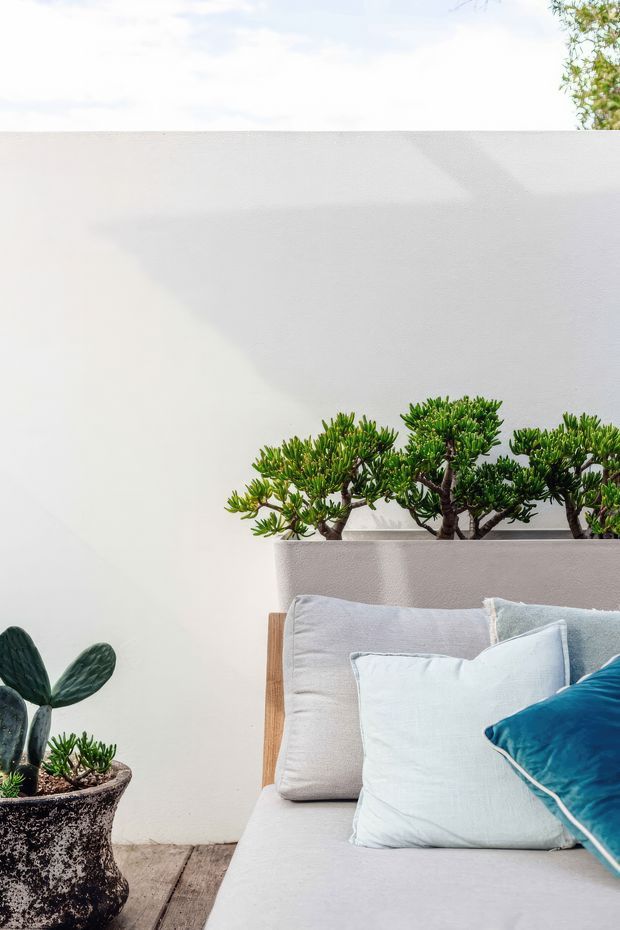 Bright minimalist outdoor seating vignette with a light upholstered sofa, pale cushions and a vivid teal accent cushion, set against a smooth white rendered wall. Sculpted potted succulents and a cactus add greenery, while timber decking is visible beneath the seating.