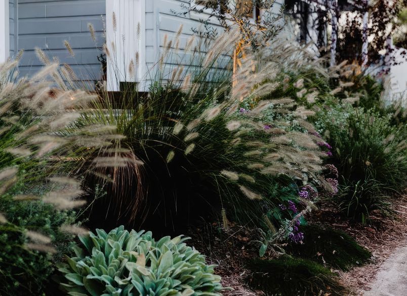 Hamilton | Cottage Garden Re-Imagined