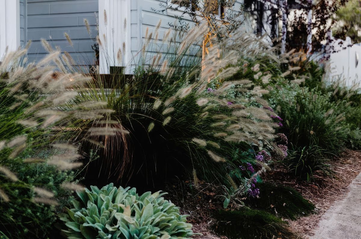 Hamilton | Cottage Garden Re-Imagined