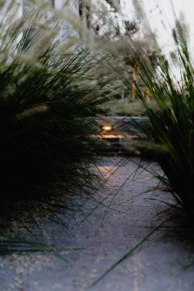 A moody close-up of a narrow paved garden path framed by dense, wispy ornamental grasses and sculptural planting. The path recedes toward a softly lit garden area, with a heavily blurred, indistinct building or structure in the background. The image has a dark, atmospheric landscape-photography style with shallow depth of field and warm path lighting.