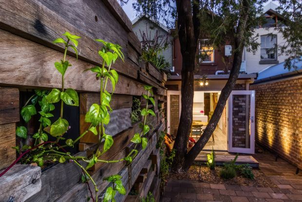 A narrow, intimate urban courtyard or outdoor passage leading to a contemporary residential entrance. Rough horizontal timber screening with integrated lush climbing plants dominates the left side, while an exposed tree, brick paving, and warm wall lighting create a sheltered garden atmosphere. A white-framed glazed entry door and multi-storey residential facade are visible at the rear, with a brick boundary wall on the right.