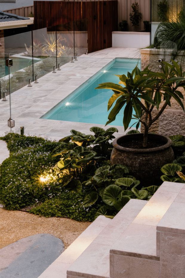 A landscaped residential pool courtyard viewed from a raised terrace. A narrow turquoise swimming pool is bordered by pale stone paving and frameless glass balustrades, with broad tiled steps in the foreground. Dense tropical-style planting surrounds a large dark stone planter, while a vertical timber screen and rendered walls define the background. Warm integrated garden lighting creates a calm, refined outdoor setting.