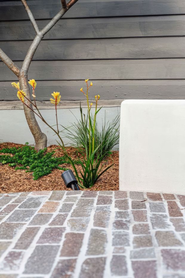 Close-up exterior view of a landscaped garden bed beside a dark horizontal weatherboard-clad wall. A small tree, ornamental grasses, groundcover, mulch, and a black garden spotlight sit behind a pale rendered or painted low wall. The foreground is paved with a patterned brick surface in muted grey, brown, and cream tones.