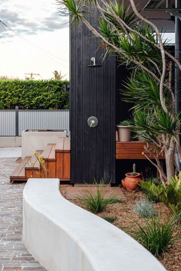 A landscaped outdoor courtyard beside a dark vertically clad building, featuring a curved white rendered concrete bench or retaining wall, timber decking and built-in seating, a paved walkway, raised planters, and sculptural drought-tolerant plants. The composition has a warm contemporary feel with strong contrast between black cladding, timber, white concrete, and greenery.