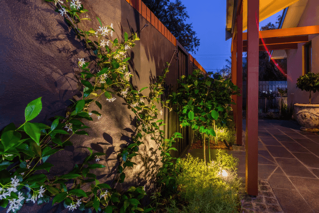 A warmly lit landscaped courtyard or side garden at dusk, viewed along a narrow paved walkway beside a textured rendered wall. Lush climbing and sculptural planting fills the garden bed, while timber posts and beams frame an adjacent covered outdoor area. Dark rectangular paving, architectural lighting, and a large decorative planter create an intimate, atmospheric setting.