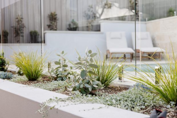 A landscaped courtyard or terrace garden viewed from outside through floor-to-ceiling glazing. A raised white rendered planter contains ornamental grasses, silvery-green foliage plants, groundcover, and pale gravel, with a minimalist outdoor seating area visible behind the glass.
