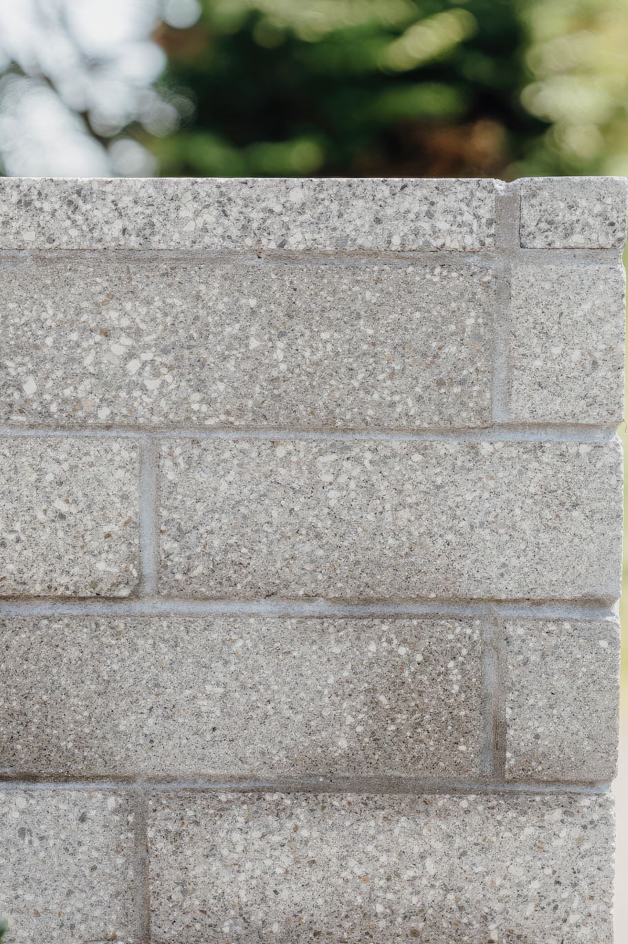 uponsite-landscapes-pukekohe-carter-23-fix-standard-scale-200x.jpg