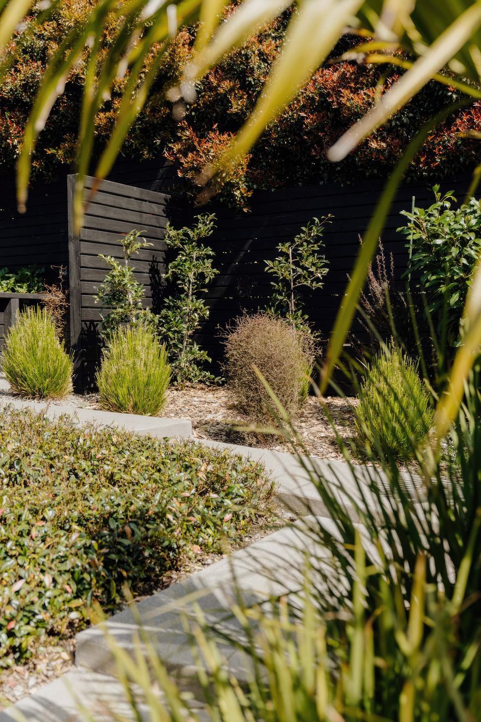 uponsite-landscapes-pukekohe-upper-queen-2-fix-standard-scale-200x.jpg