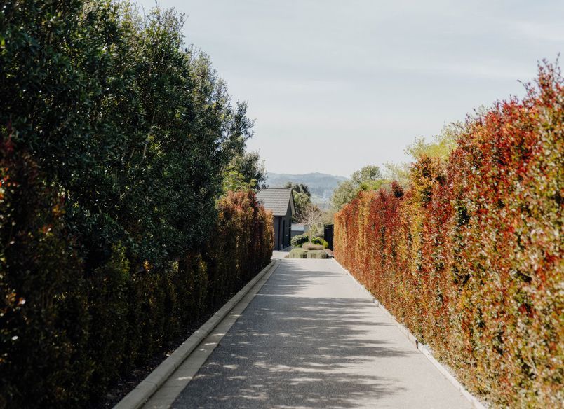 Upper Queen Steet, Pukekohe