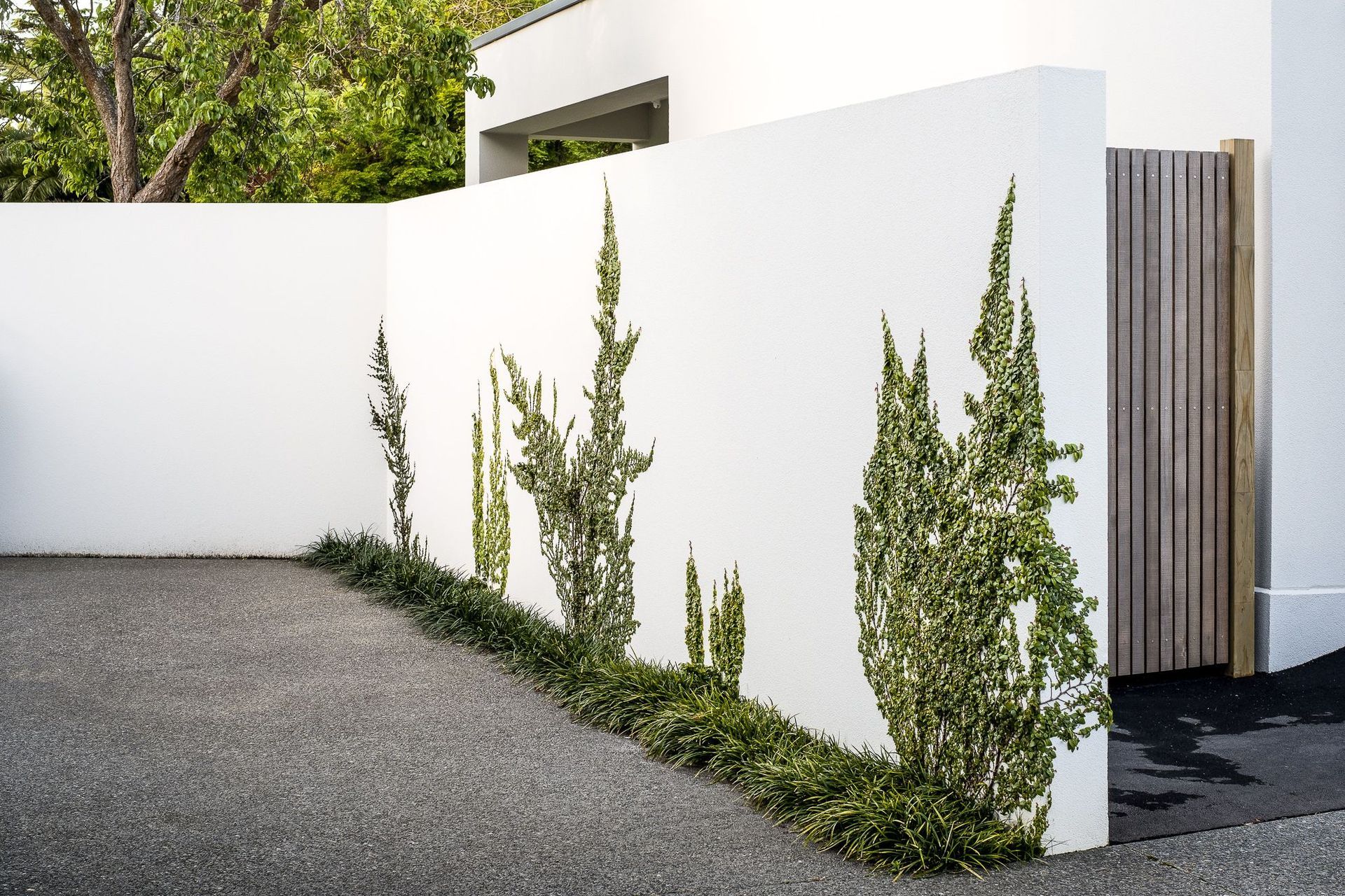 Clyde Road, Christchurch