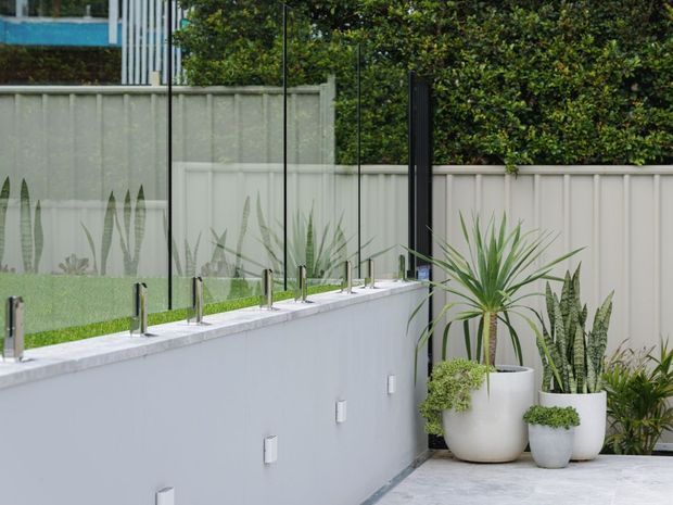 A contemporary outdoor area with a long pale rendered wall topped by clear glass screening and slim dark supports. Multiple raised water-feature or pool-edge fittings line the wall, while large white planters with tropical and sculptural plants sit on a light paved surface beside a pale vertical-panel boundary fence.