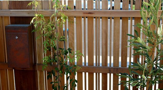 Close-up view of a warm timber slatted privacy screen or fence with horizontal framing, vertical battens, climbing and potted greenery, and a small dark timber wall-mounted cabinet or mailbox. The image focuses on the built timber structure and integrated planting.